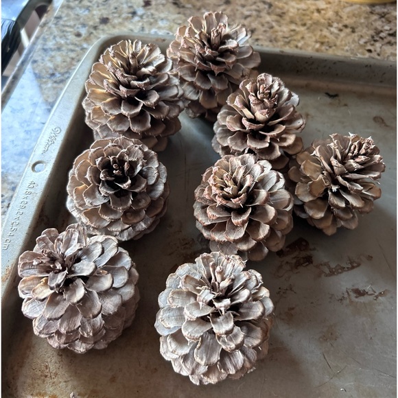 15 Bleached Pine Cones! - Picture 5 of 5